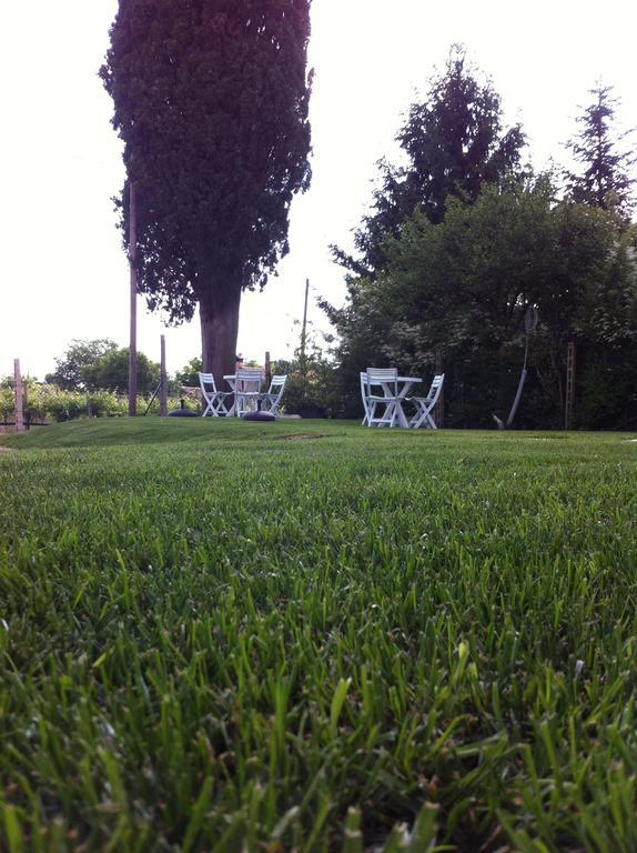 Bb Masotte Bed & Breakfast Sommacampagna Bagian luar foto